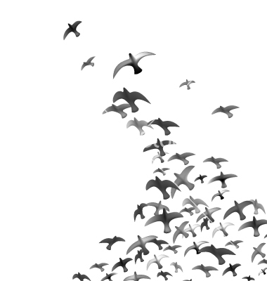flying-birds-vector-403972